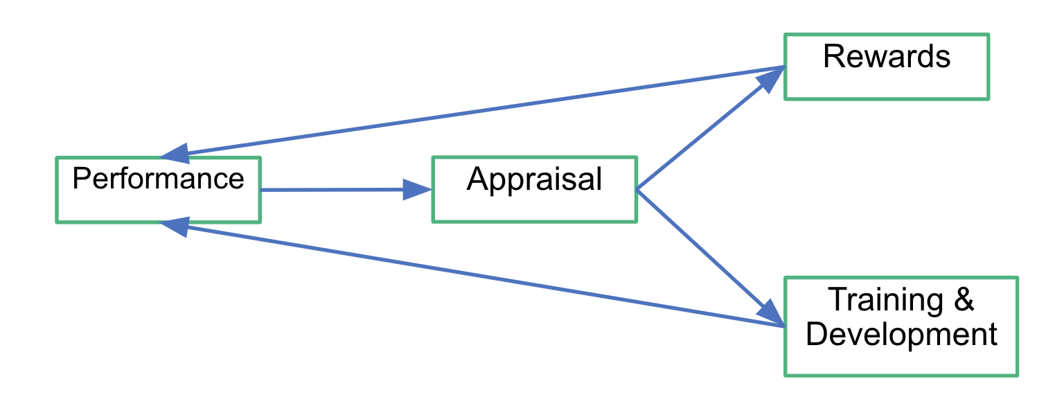 Appraisal process in a diagram